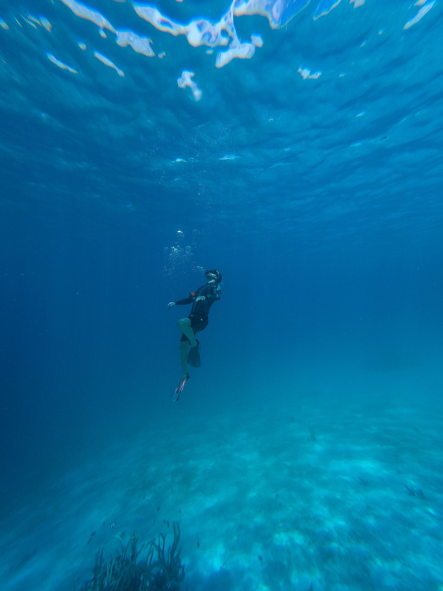 A scuba diver explores the crystal clear blue ocean waters above a sandy seafloor.