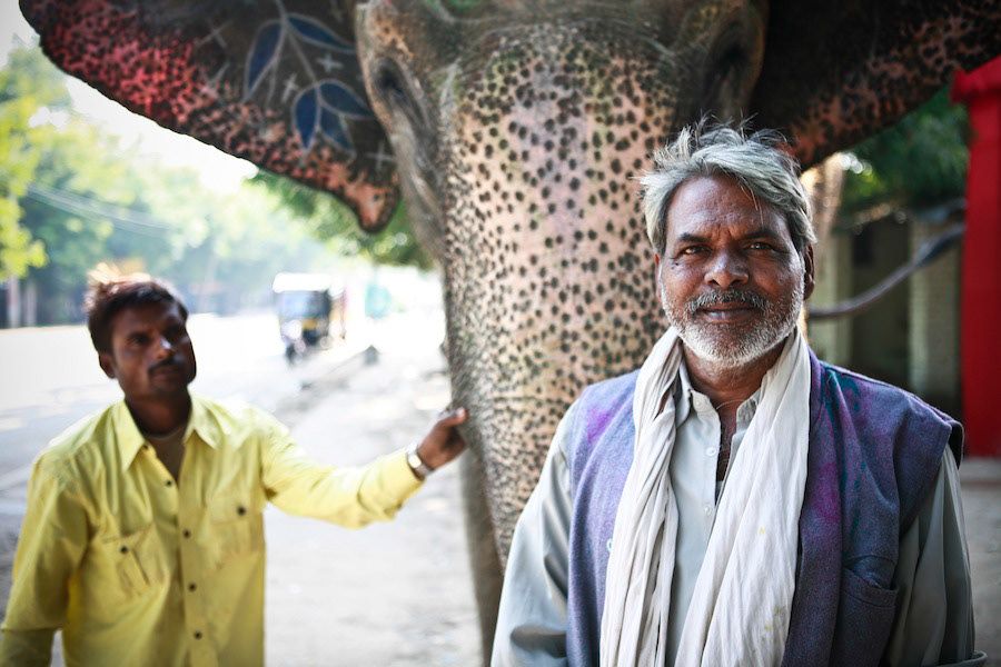 Two Indian men stand proudly beside a decorated elephant on a tree-lined street in India.