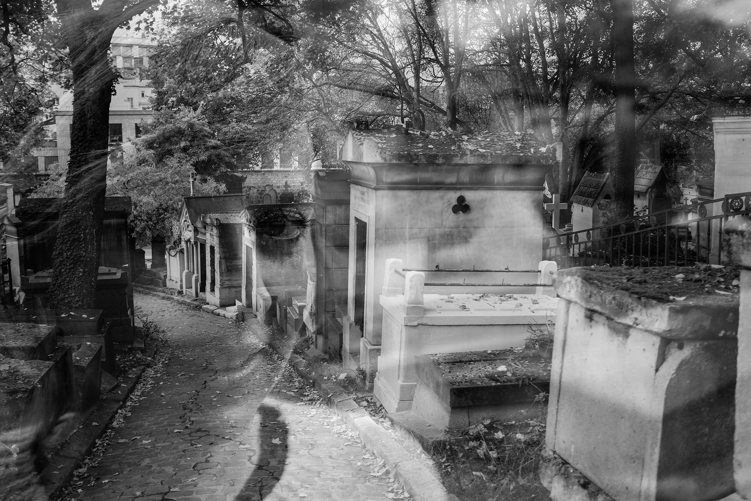 Black and white photo of a historic cemetery with stone mausoleums lining a tree-lined pathway.