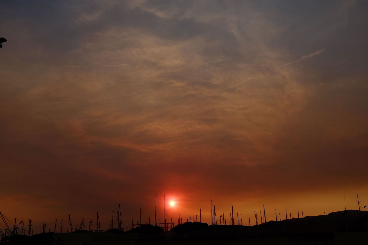 Dramatic orange sunset with glowing red sun silhouetting dead trees against smoky cloudy sky after wildfire.