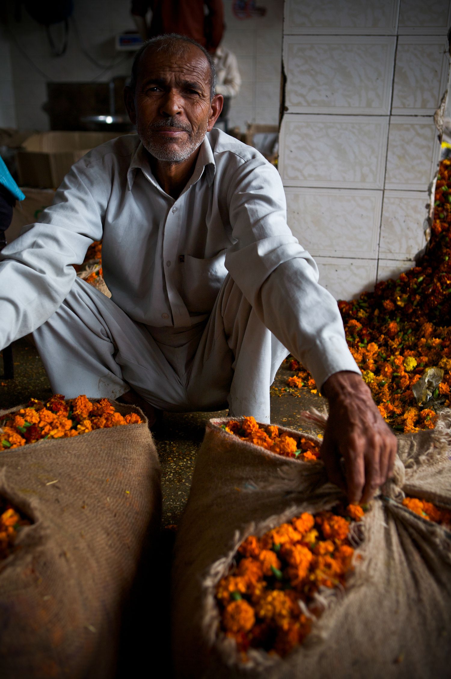 An elderly Indian man in white kurta sits surrounded by sacks of vibrant orange marigold flowers at market.