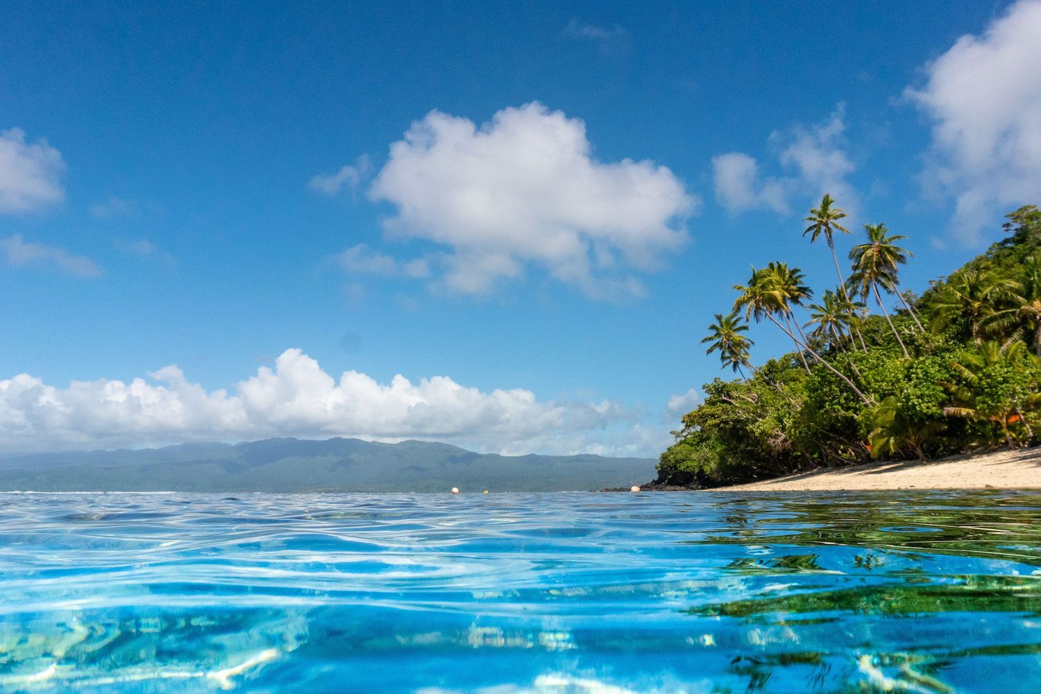 Crystal clear turquoise waters lap against a tropical beach lined with palm trees under a bright blue sky.