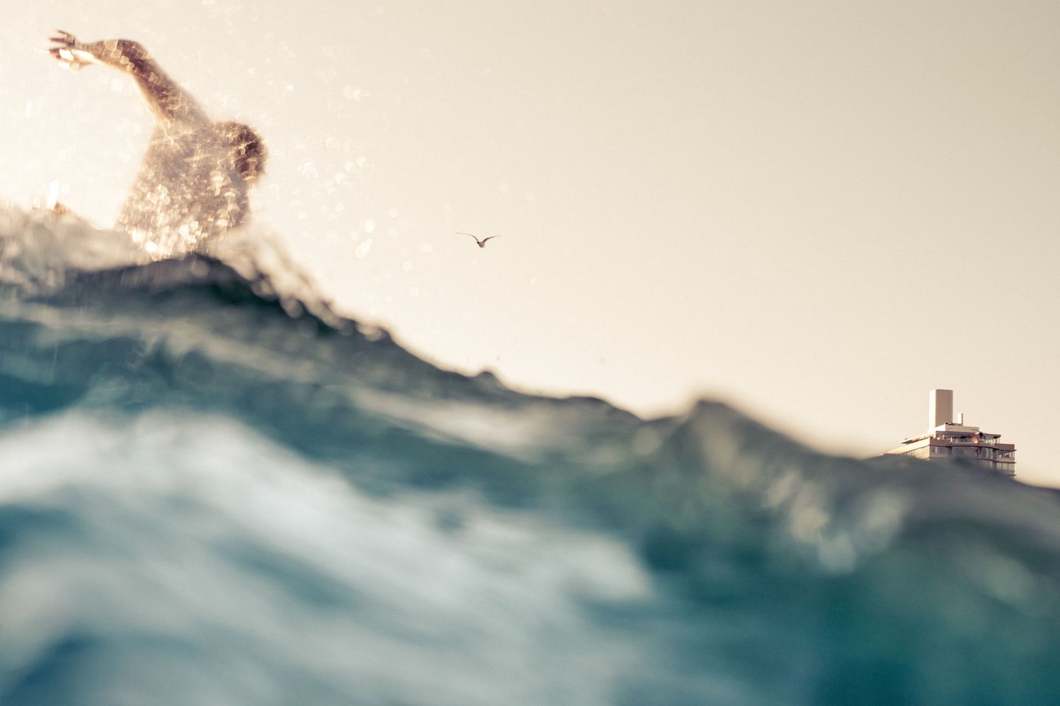Action shot of a surfer riding a wave with a building visible in the background.
