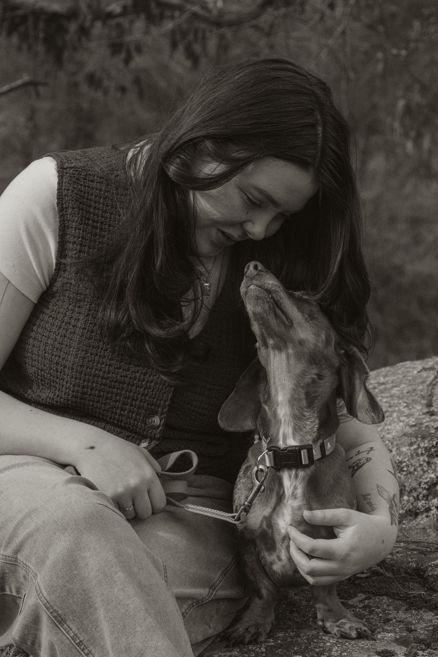 Pet owner and dog cuddling, in the afternoon during a pet photo session in the outdoors in Trafalgar, West Gippsland.