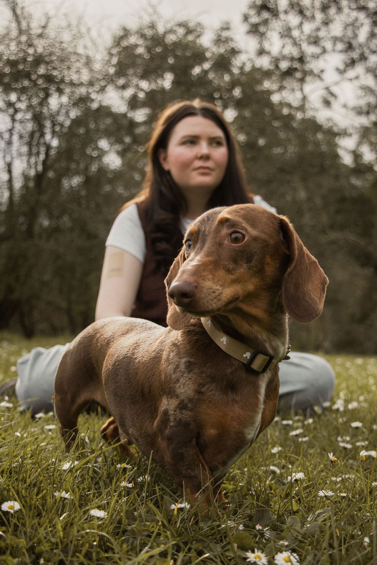 Dog and owner sitting outdoors in field, in the afternoon during a lifestyle pet photo session in the outdoors in Trafalgar, West Gippsland.