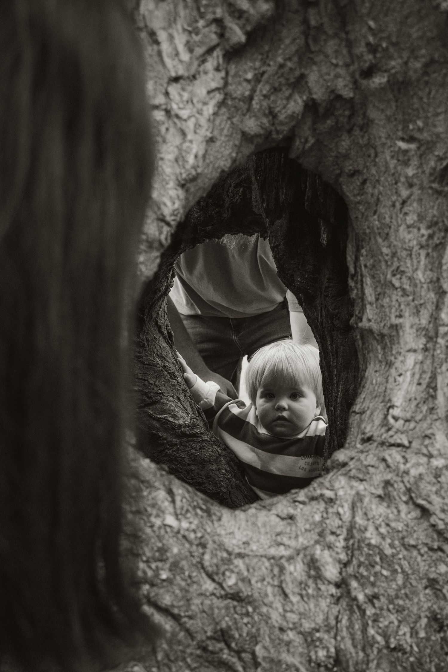 Toddler looking through tree,  in the afternoon at lifestyle family photography session in Trafalgar, West Gippsland.