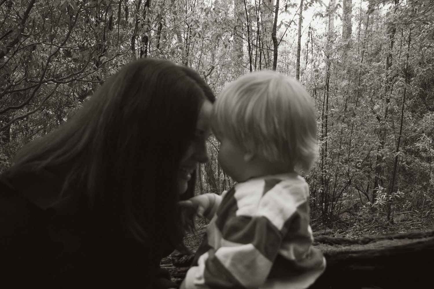A child and mum connecting at Uralla reserve in the outdoors in central Gippsland. Taken for a motherhood session.
