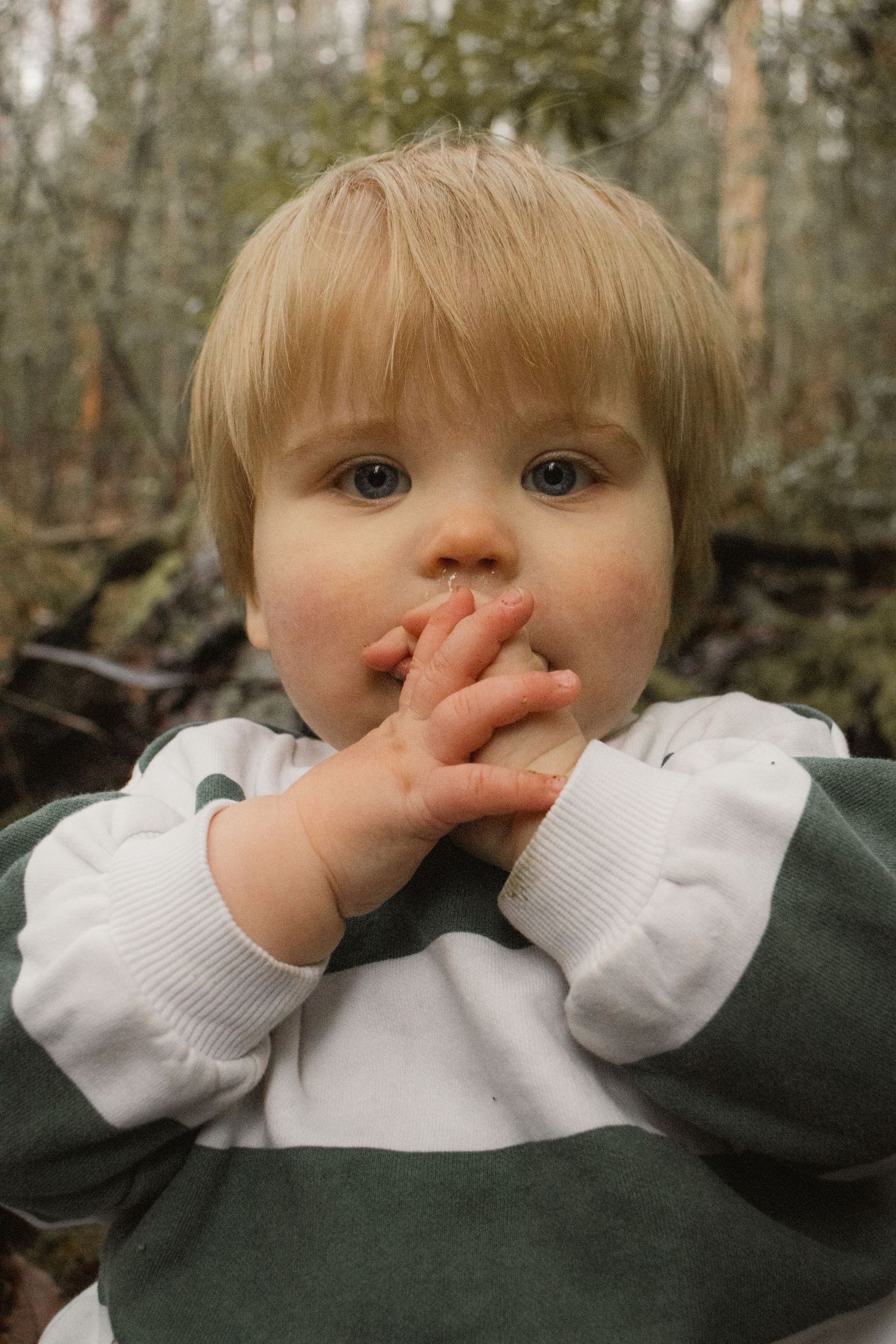 A child looking at camera at Uralla reserve in the outdoors in central Gippsland. Taken for a motherhood session.