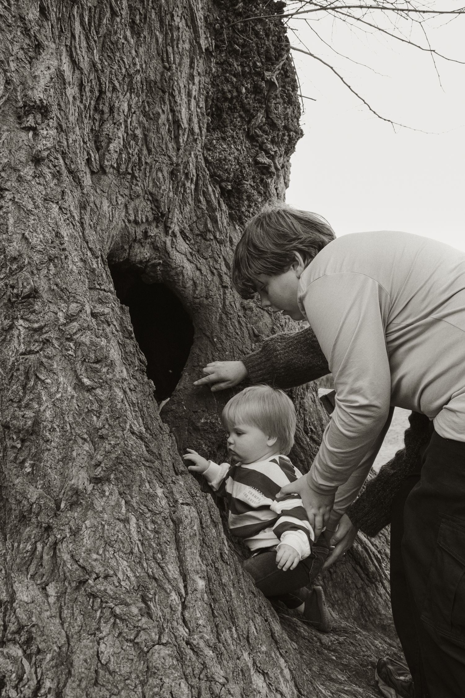 Toddler getting help looking through tree,  in the afternoon at lifestyle family photography session in Trafalgar, West Gippsland.