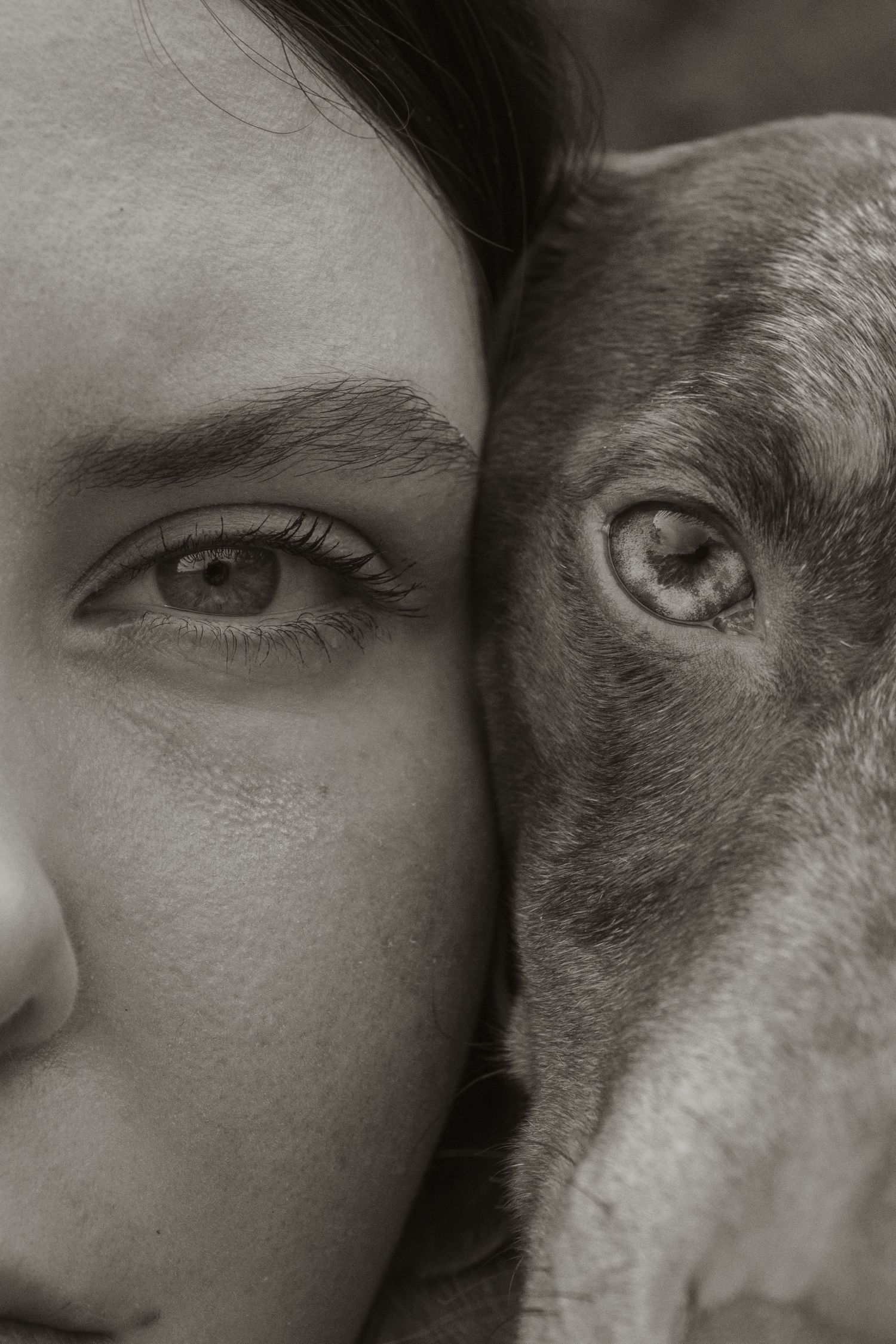 Dog and owner faces together, in the afternoon during a lifestyle pet photo session in the outdoors in Trafalgar, West Gippsland.