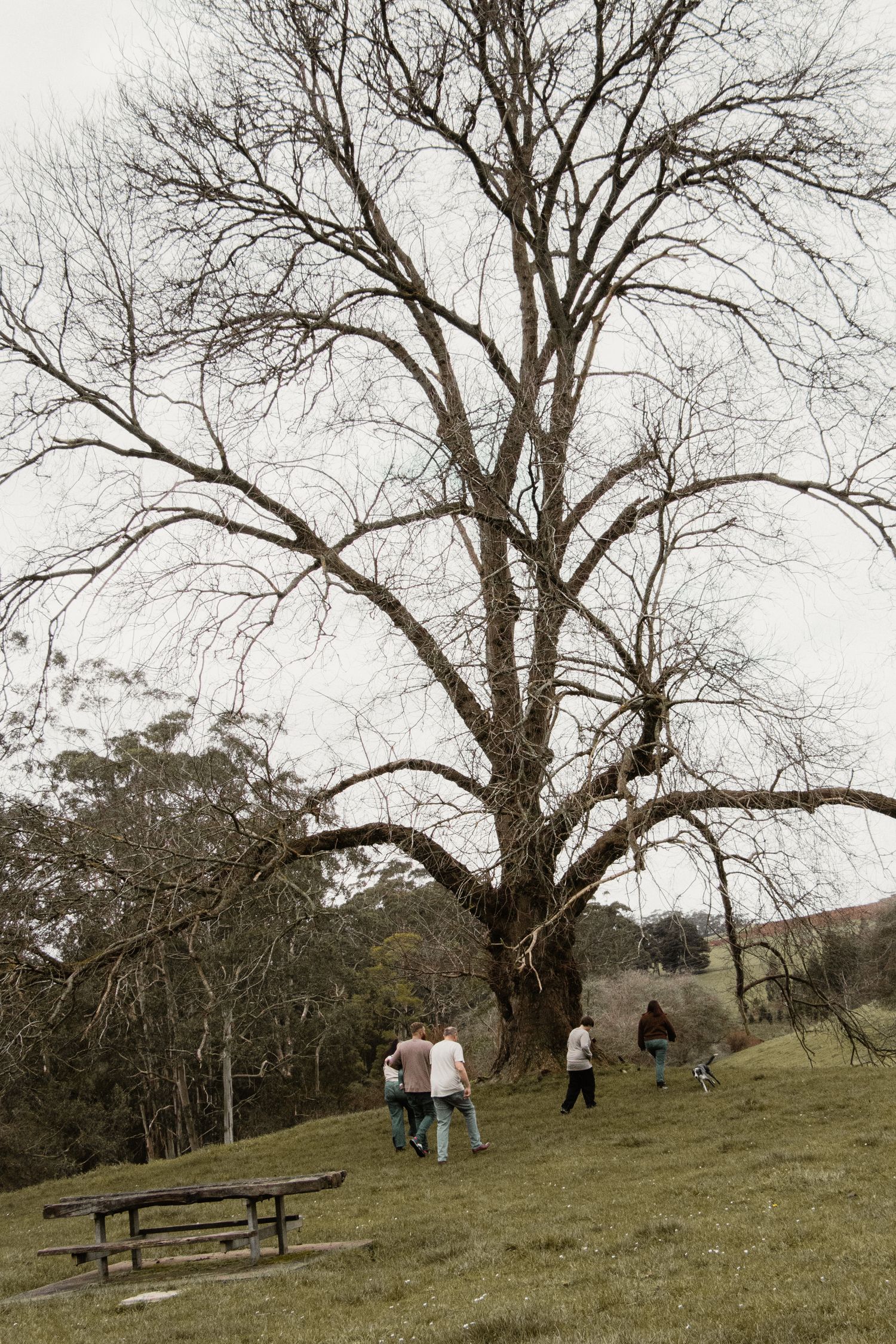 Extended family exploring the outdoors, in the afternoon at lifestyle family photography session in Trafalgar, West Gippsland.