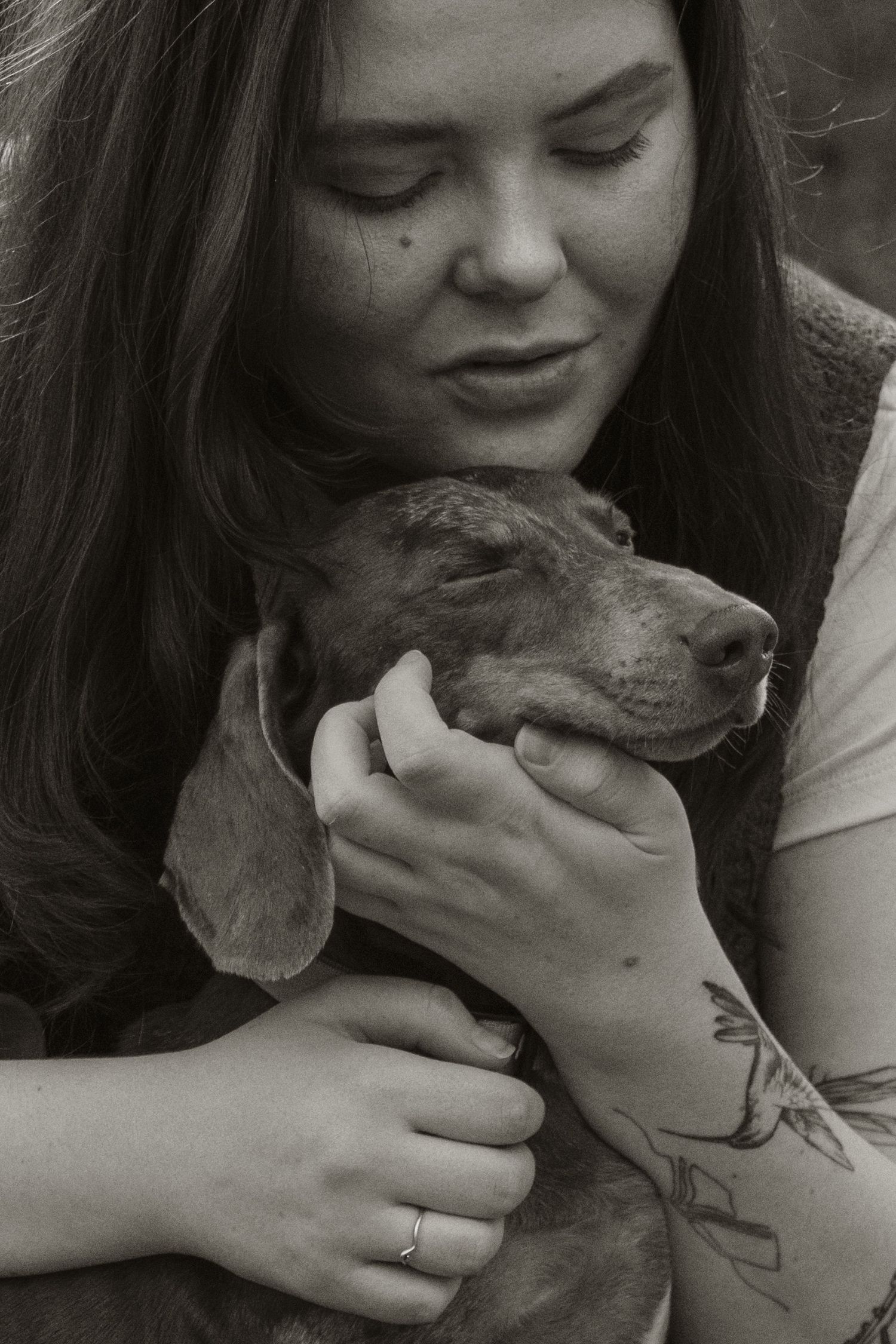 Dog owner and dog cuddling together, in the afternoon during a lifestyle pet photo session in the outdoors in Trafalgar, West Gippsland.