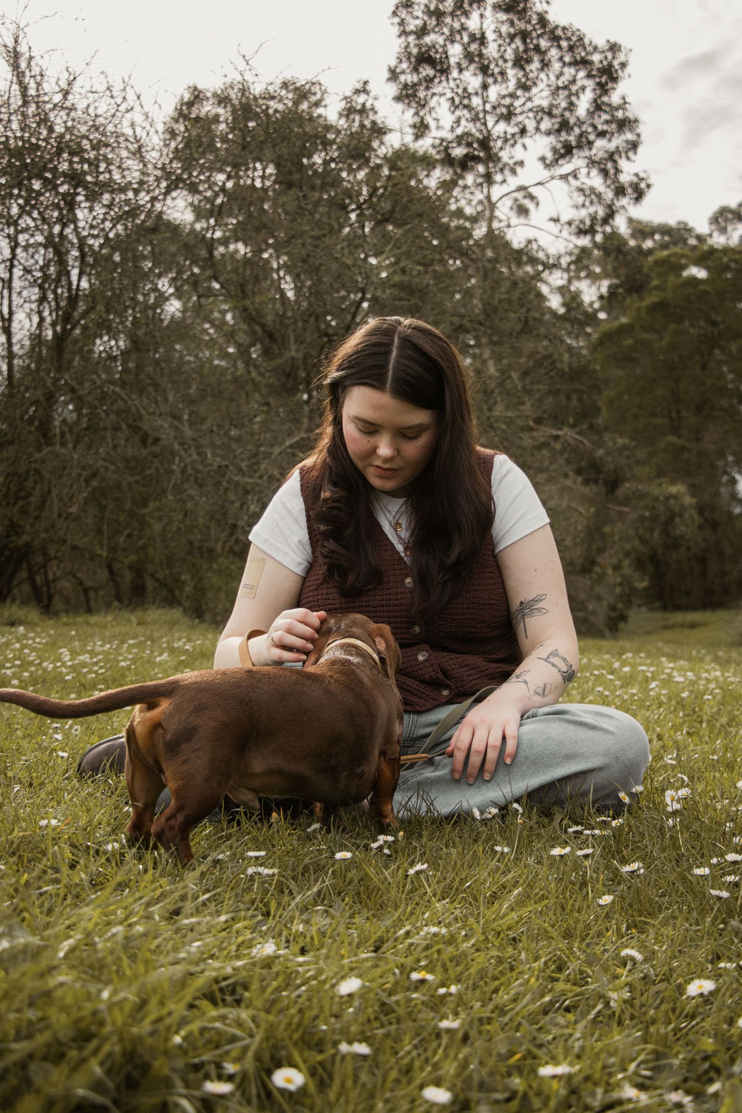 Dog and owner sitting outdoors in field, in the afternoon during a lifestyle pet photo session in the outdoors in Trafalgar, West Gippsland.