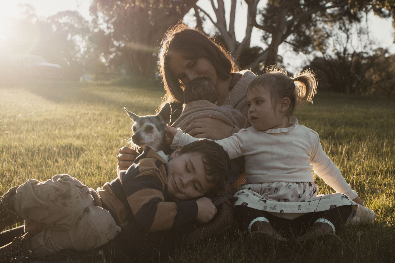 A senior dog at blue rock lake with family in the outdoors in central Gippsland. Taken for a motherhood/pet session.