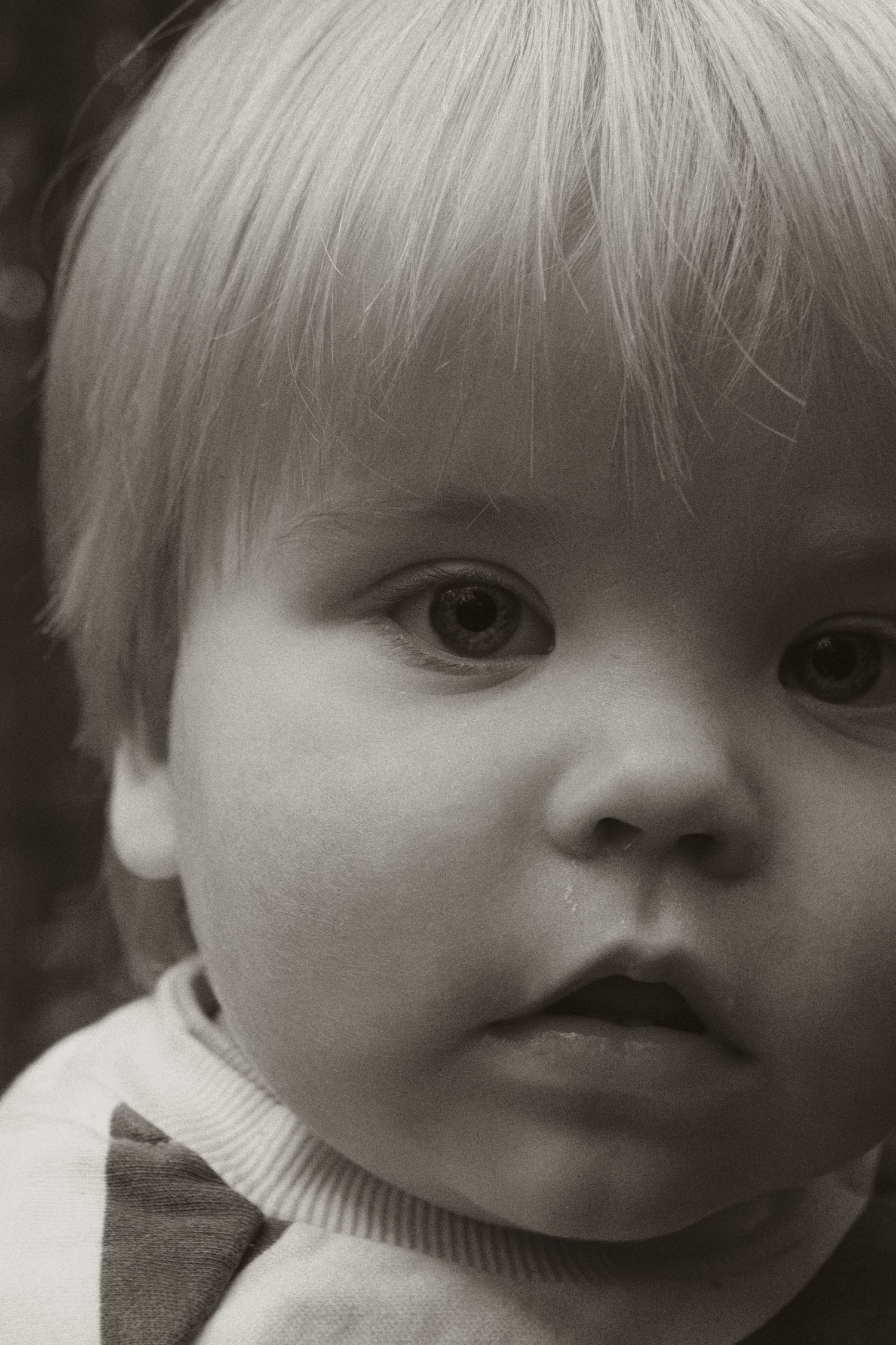 A child's candid portrait at Uralla reserve in the outdoors in central Gippsland. Taken for a motherhood session.