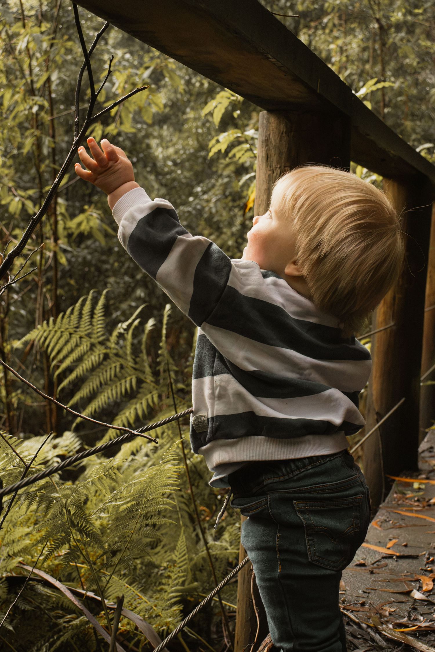 A child playing with a plant at Uralla reserve in the outdoors in central Gippsland. Taken for a motherhood session.