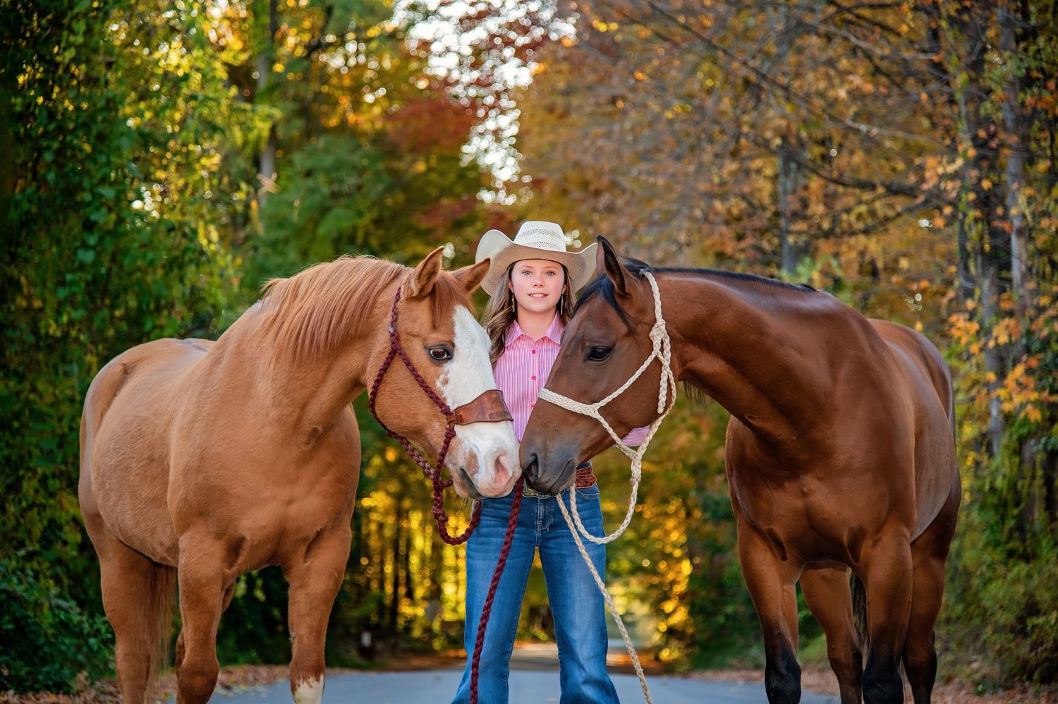Several brown horses stand in a line on grassy terrain during autumn with colorful fall foliage.