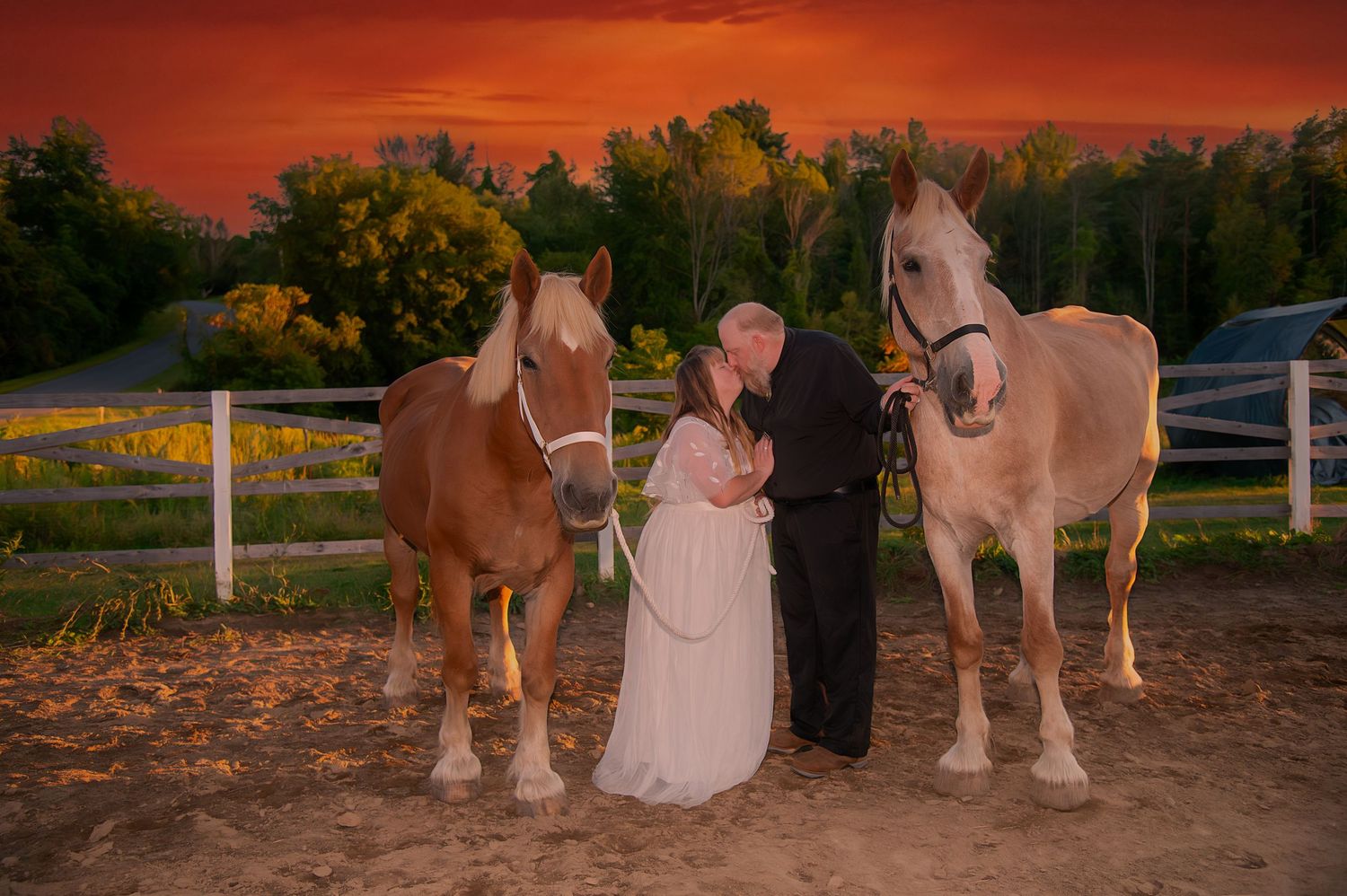 Draft horses stand together at sunset with an orange sky creating a romantic scene.