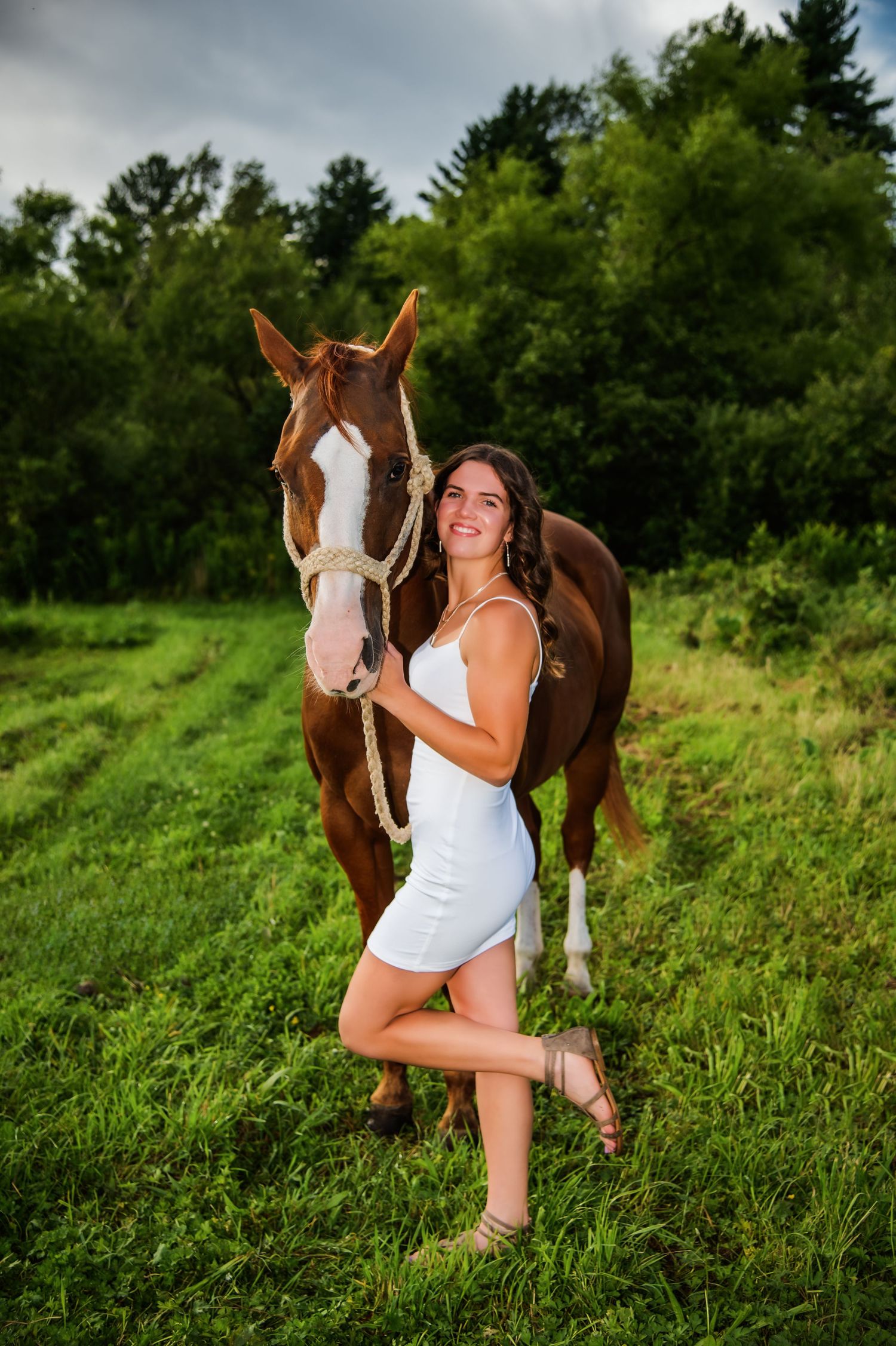 White horse and companion in summer field with lush green vegetation.
