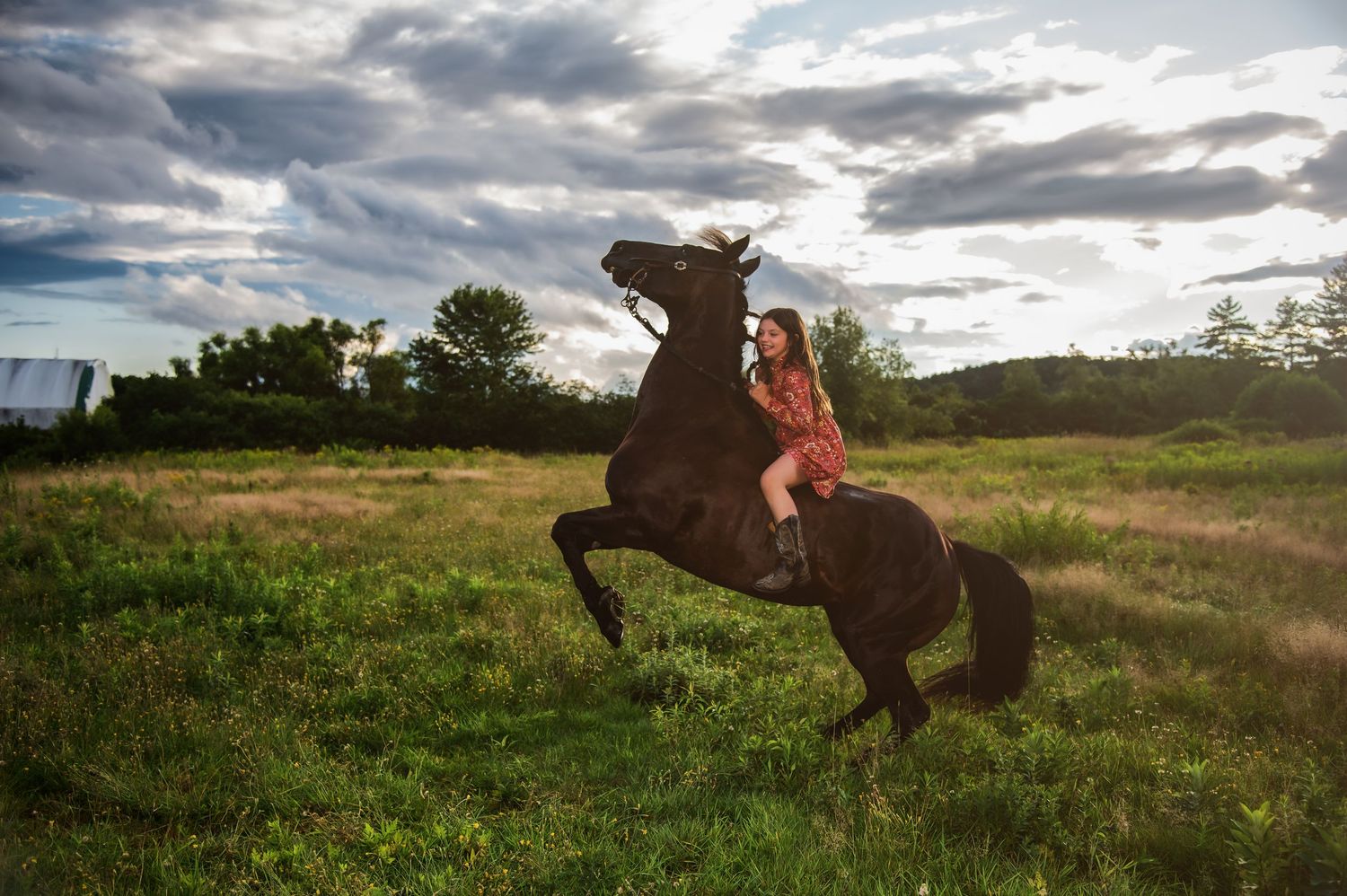 Dramatic cloudy sky over a grassy field with horses at sunset.