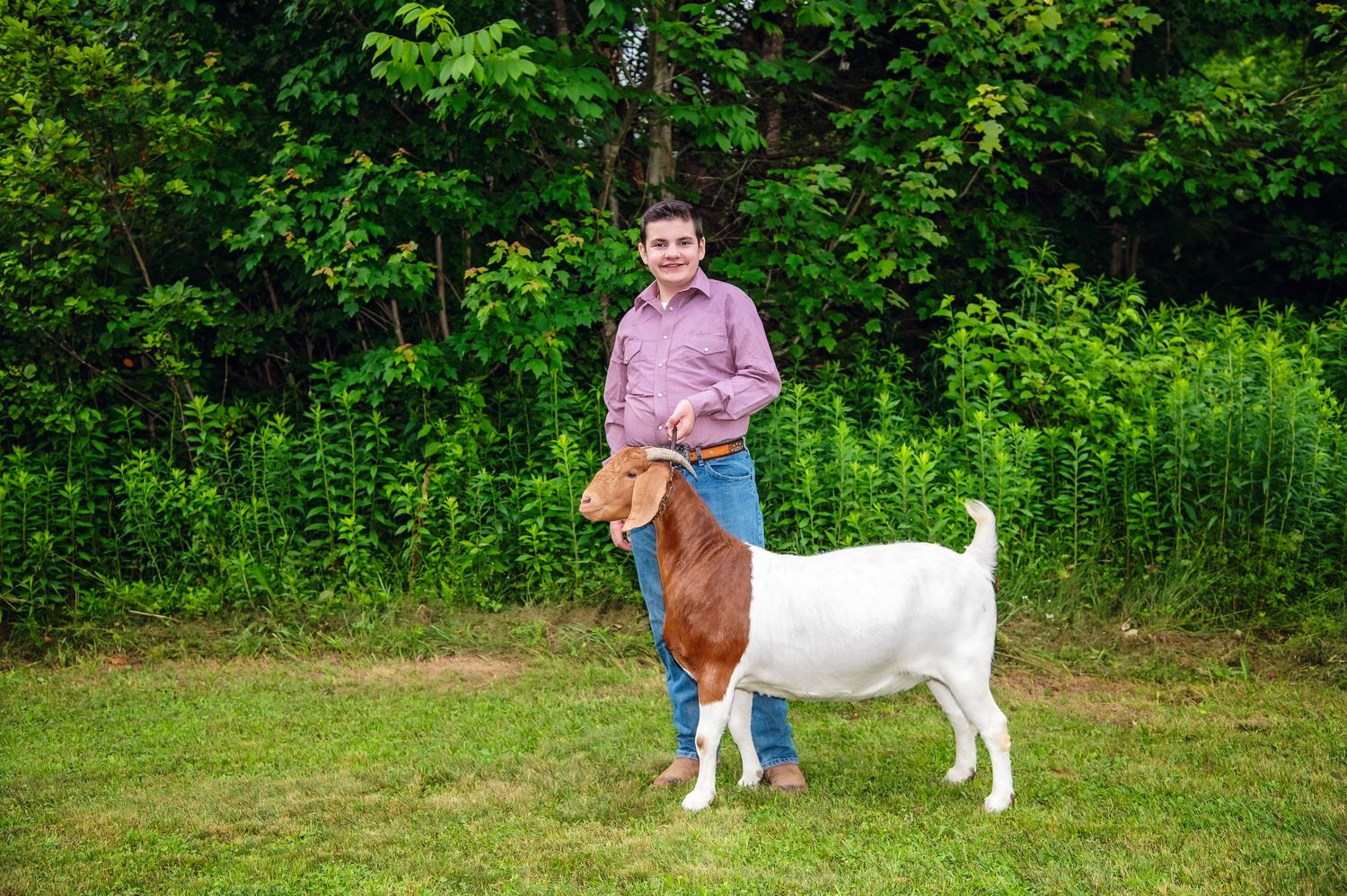 A white goat stands in a lush green field on a sunny summer day.
