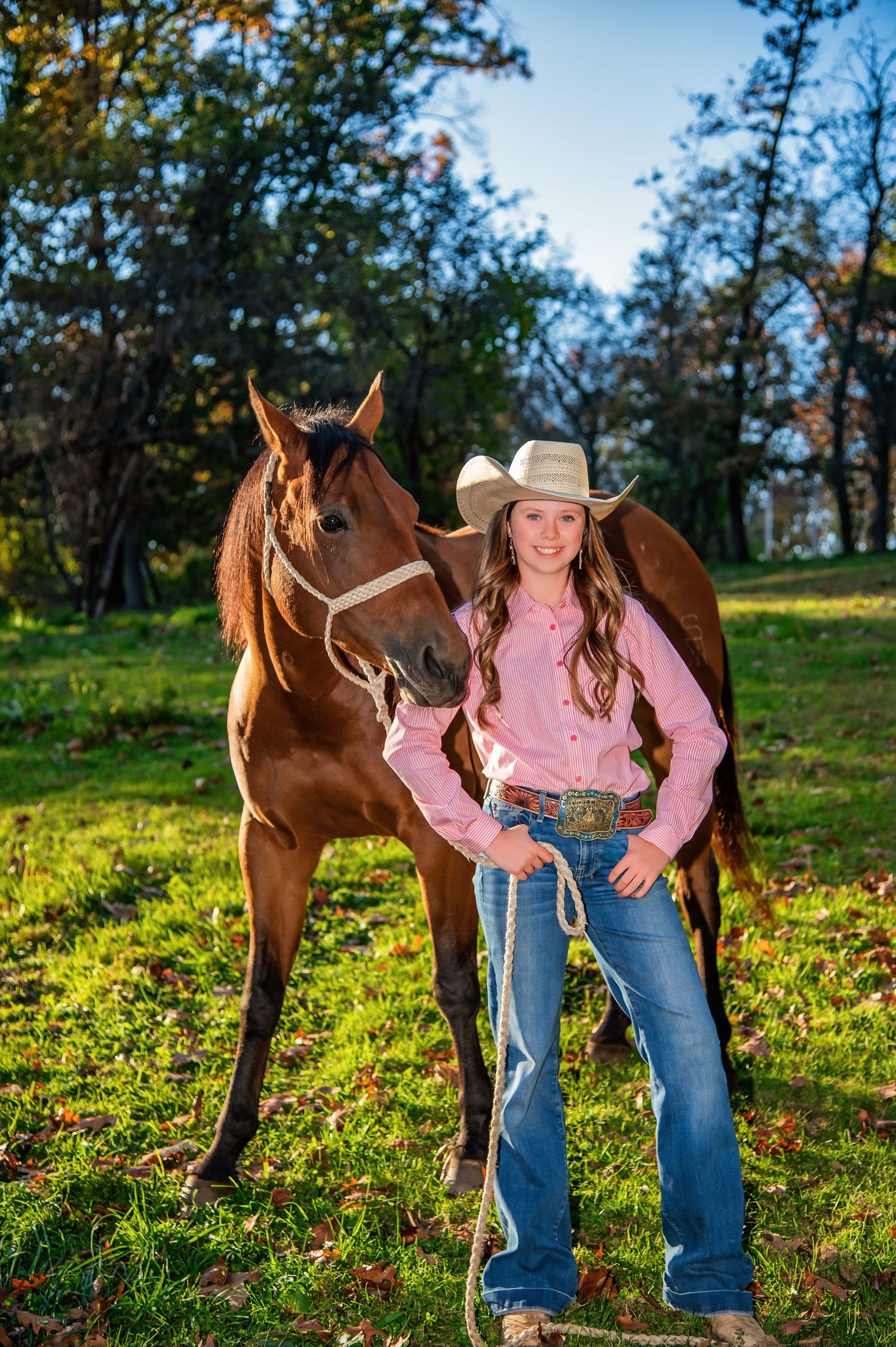 Brown horses graze in a sunlit field while wearing western riding gear.