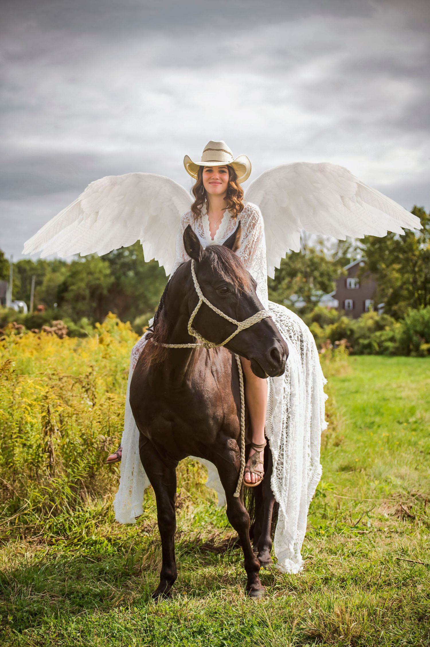 A miniature horse with angel wings poses in a grassy field under cloudy skies.