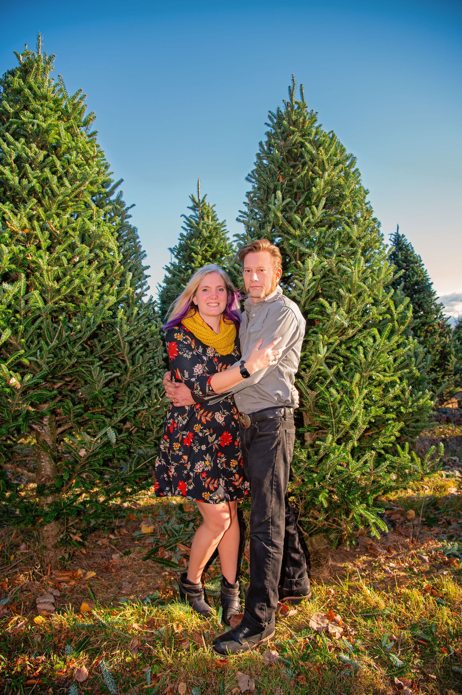 Romantic photoshoot among tall evergreen trees at a Christmas tree farm during sunset.