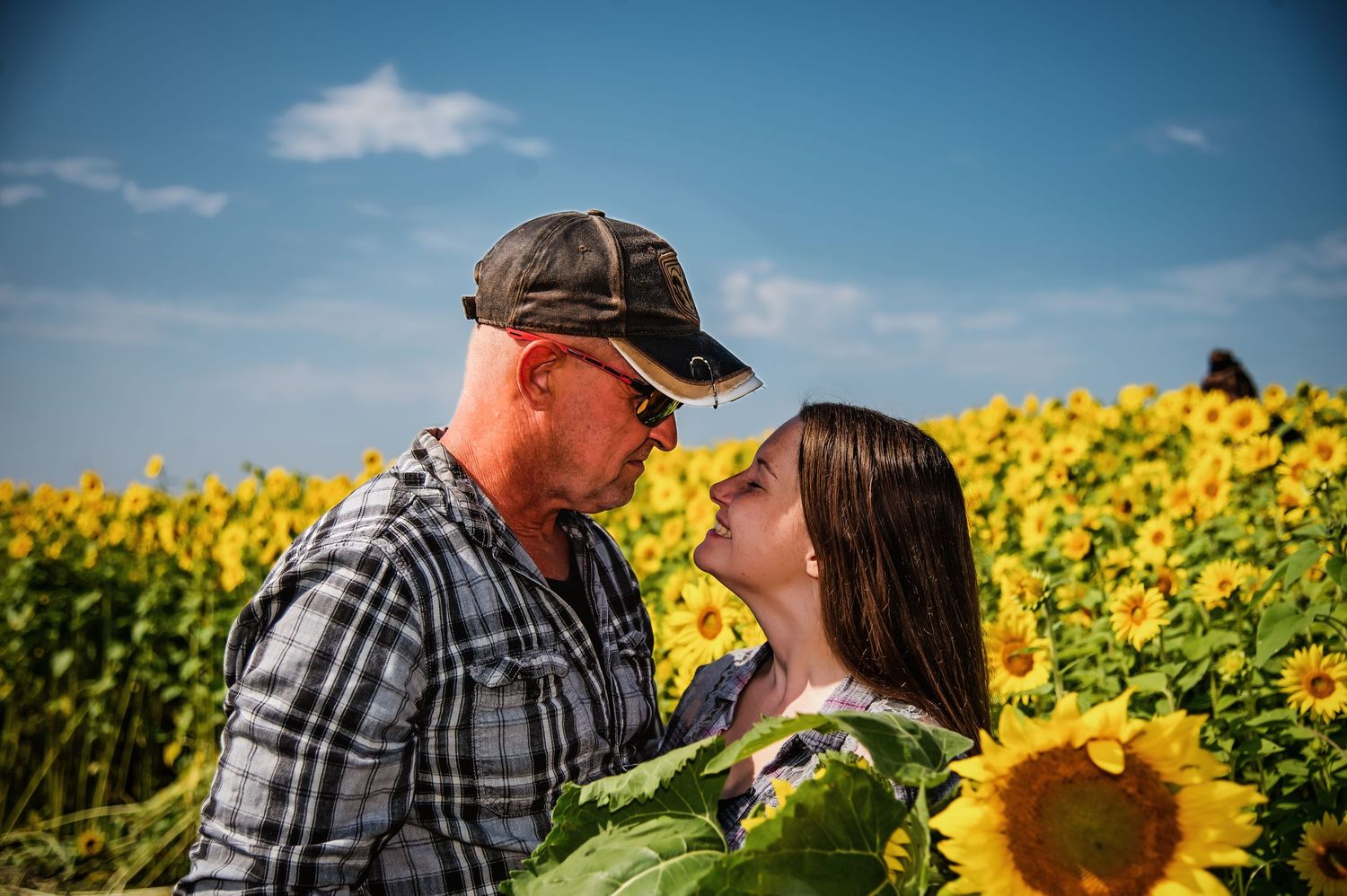 Romantic couple posing in a vibrant yellow sunflower field under blue skies.