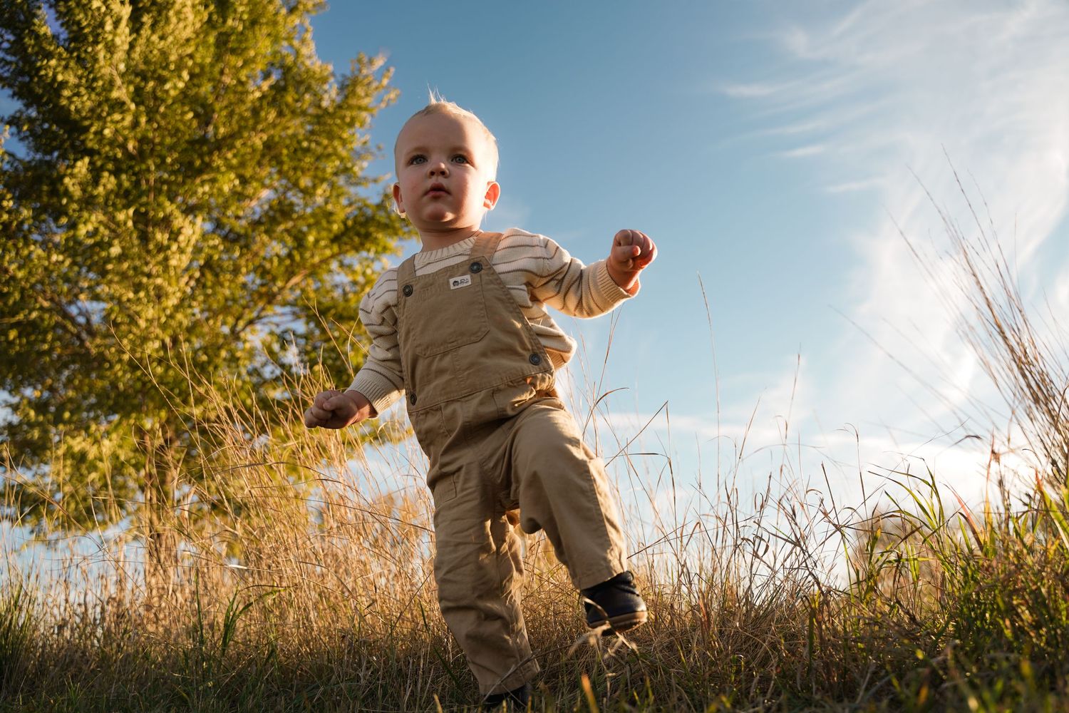 A portrait of a young child by Evan Patzwald Media.