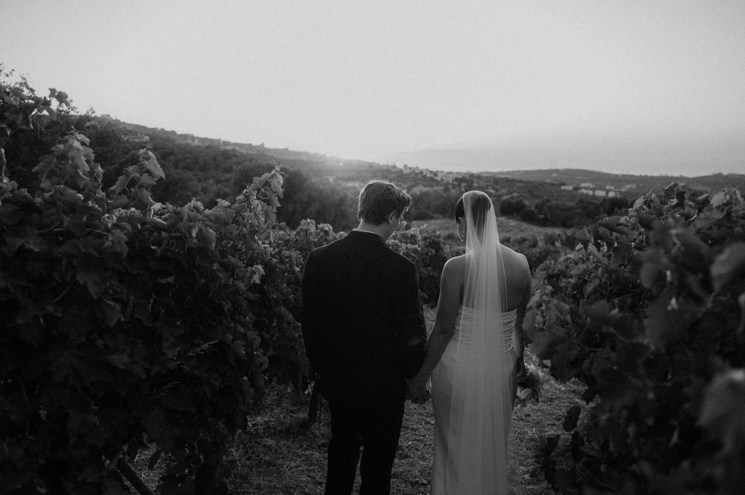 cinematic wedding photography in Agreco farms, Greece