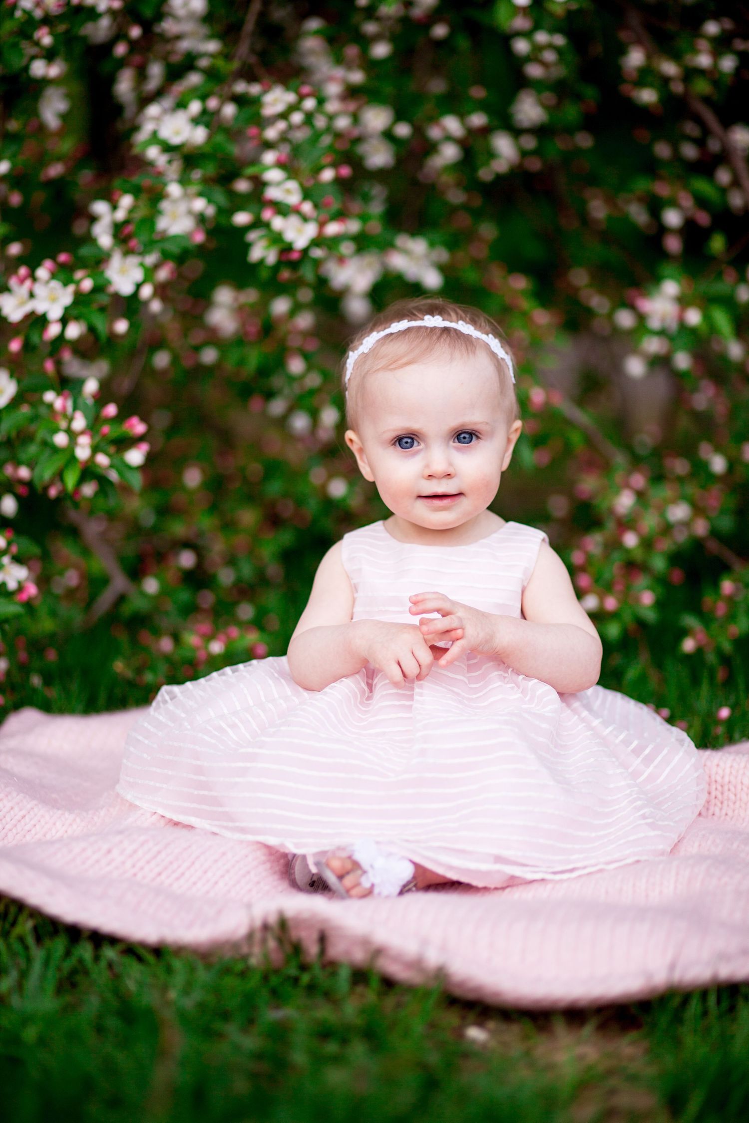 Sweet baby girl in pink dress with blue eyes sitting on blanket near flowering bush outdoors.