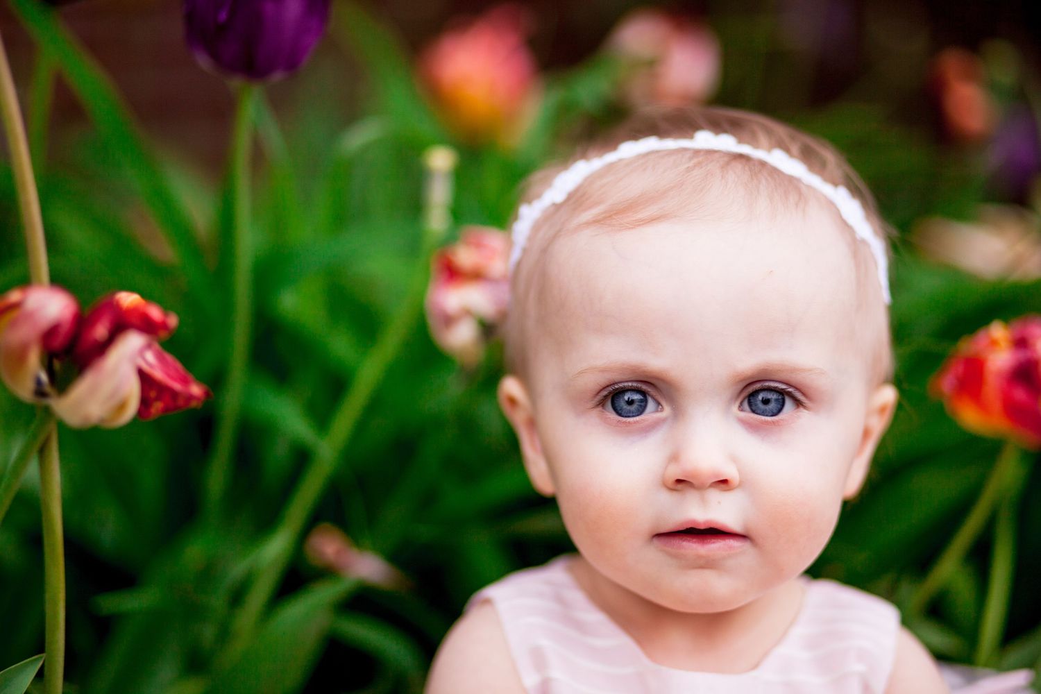 Close-up portrait of blue-eyed baby girl with white headband among colorful tulips in garden.