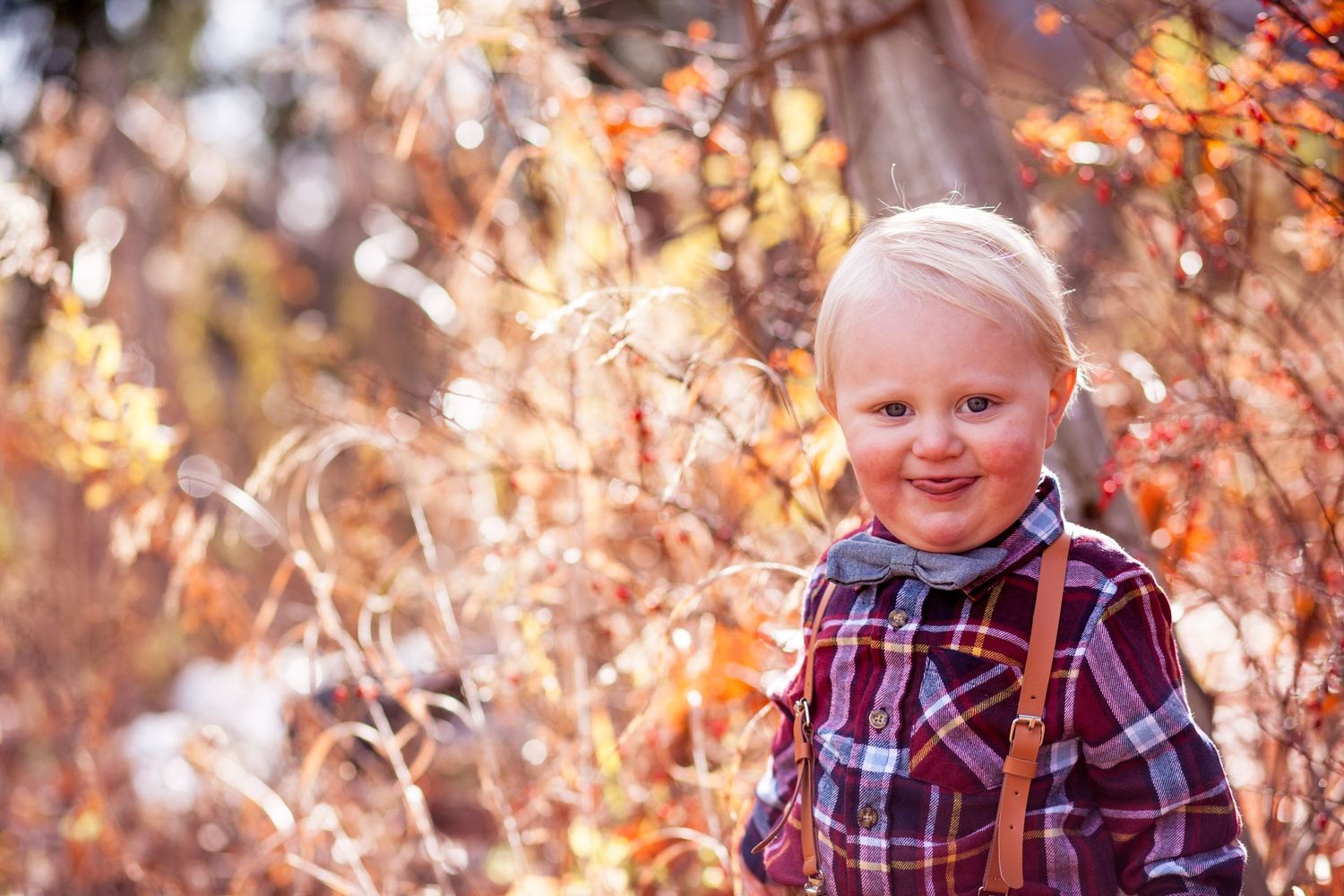 Smiling blonde toddler boy in plaid shirt and suspenders standing among autumn foliage outdoors.