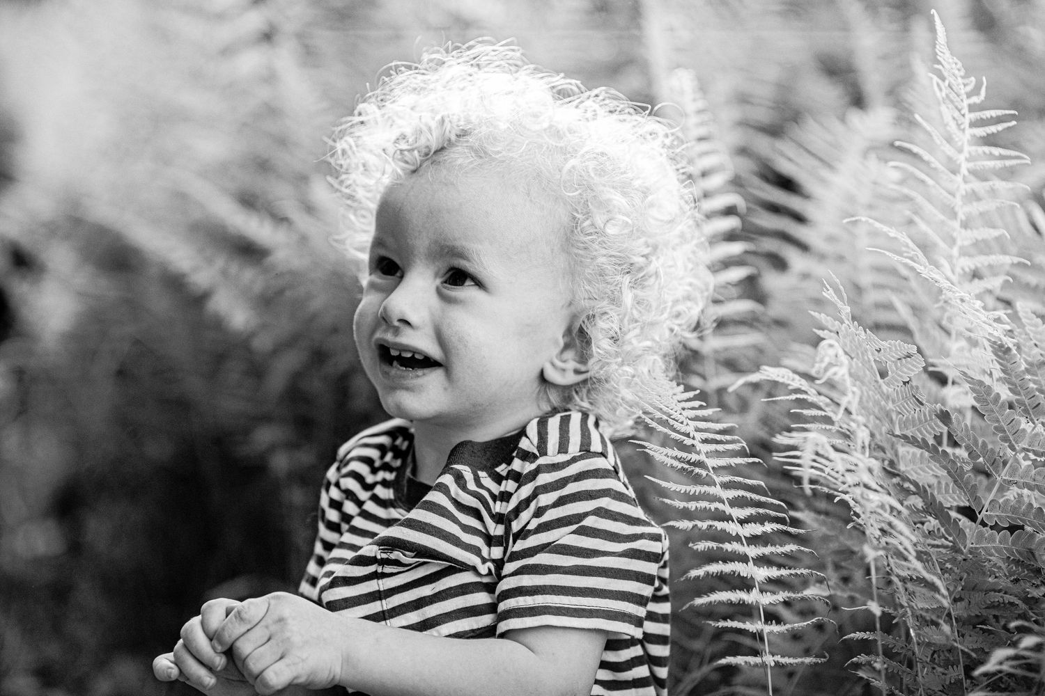Curly-haired toddler laughing joyfully among fern plants in a black and white outdoor portrait.