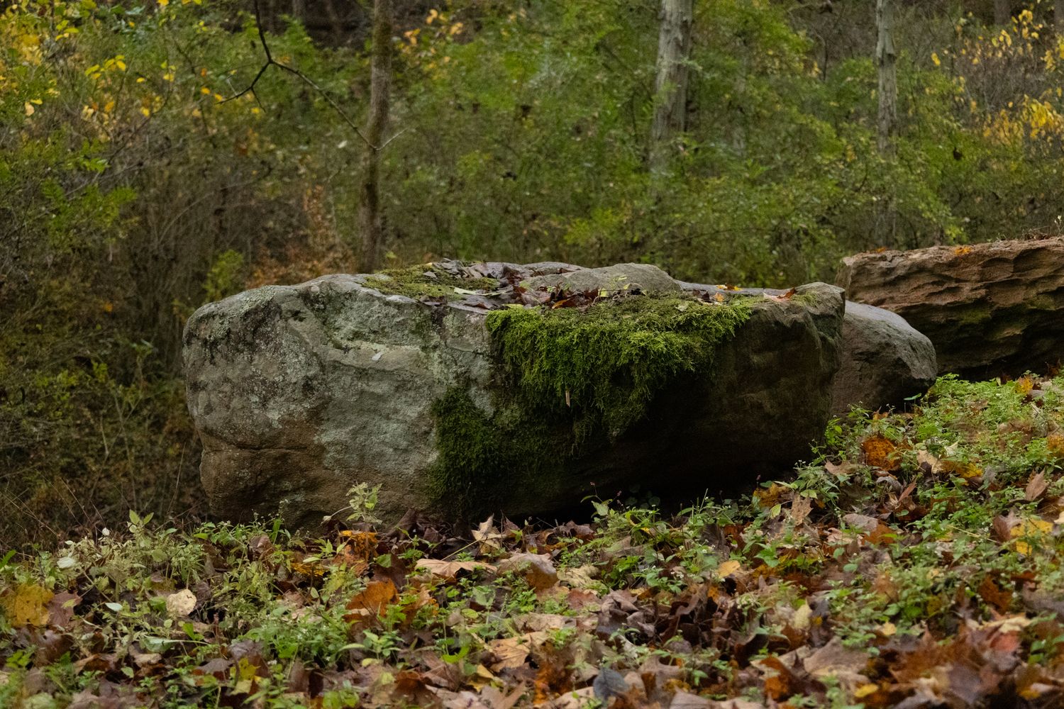 a professional photo and highly detailed photo