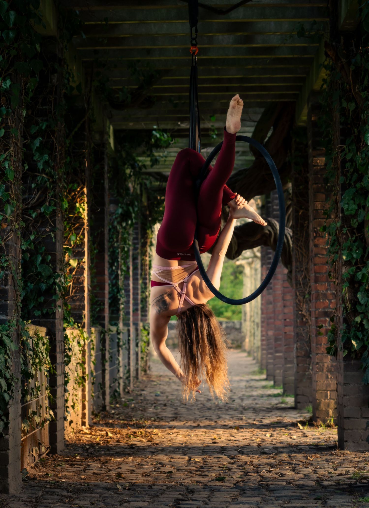 Aerial hoop dancer performs inverted pose outdoors in ivy-covered archway, wearing red outfit in golden light.