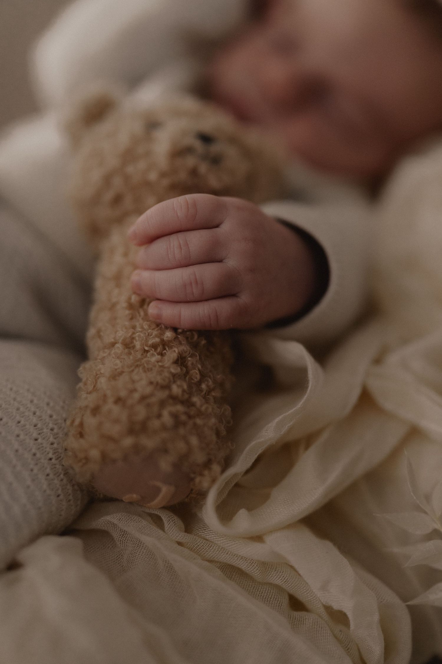 Baby's hand touching soft teddy bear on cream colored fabric.