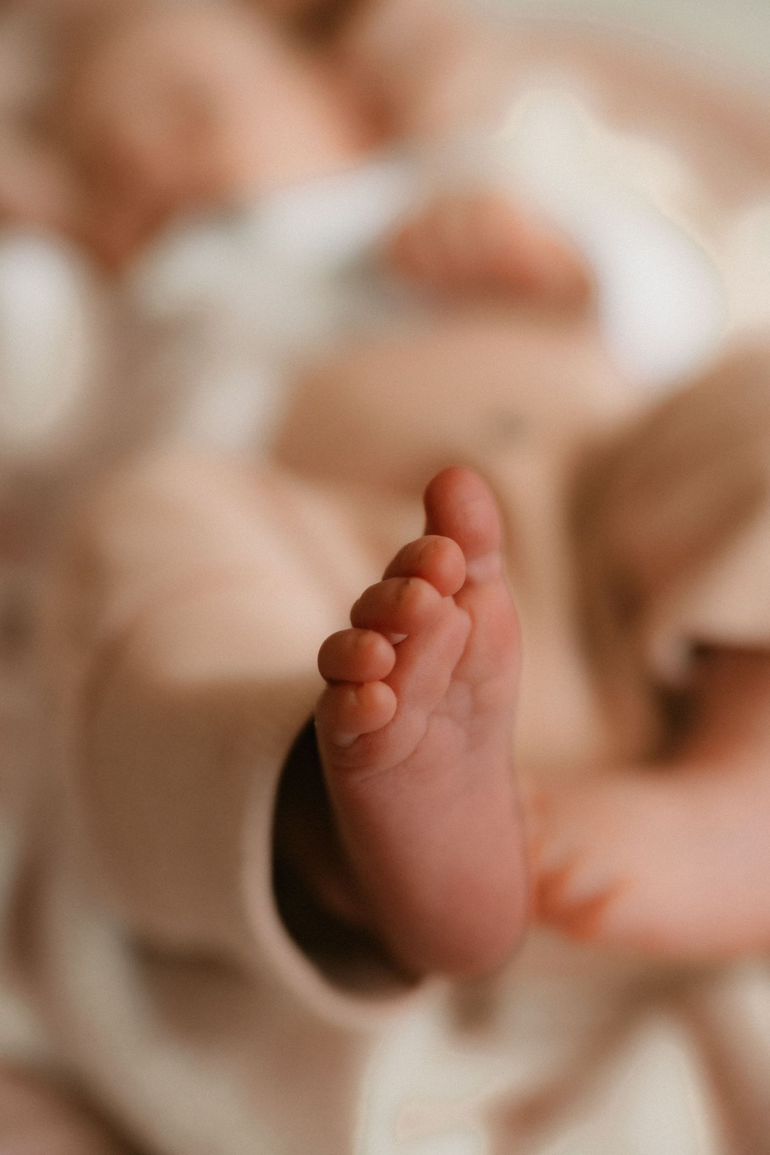 Close-up macro shot of a tiny newborn baby foot with delicate toes against a soft blurred background.