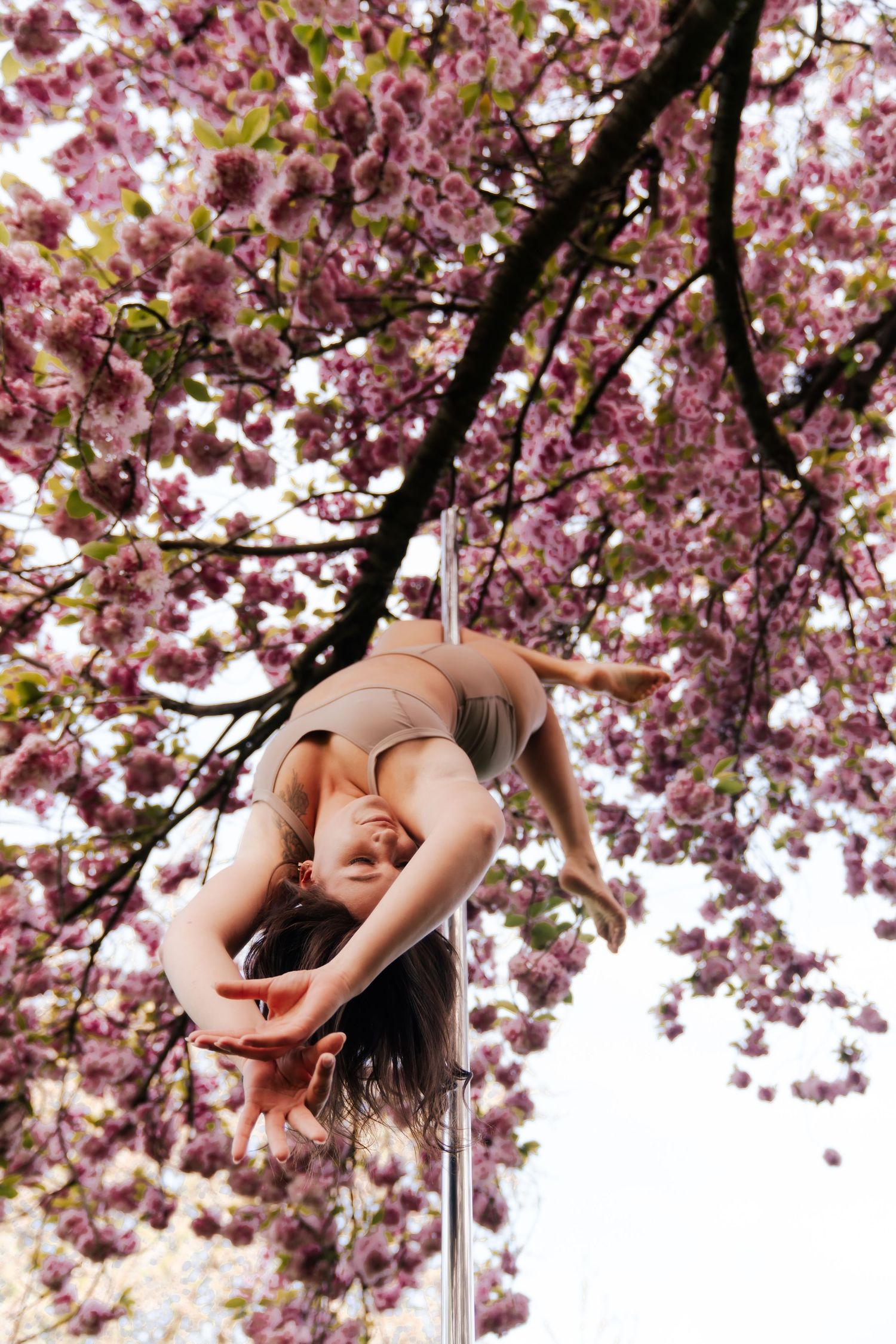 Woman performing pole dance outdoors, elegantly arching backward near blooming pink cherry blossom tree in spring.
