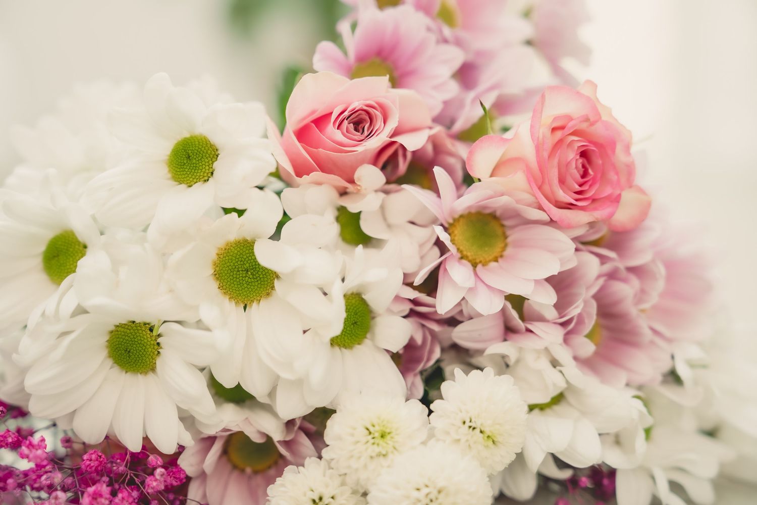 A beautiful bouquet of pink roses, white daisies, and hydrangeas arranged together in a soft, romantic floral display.