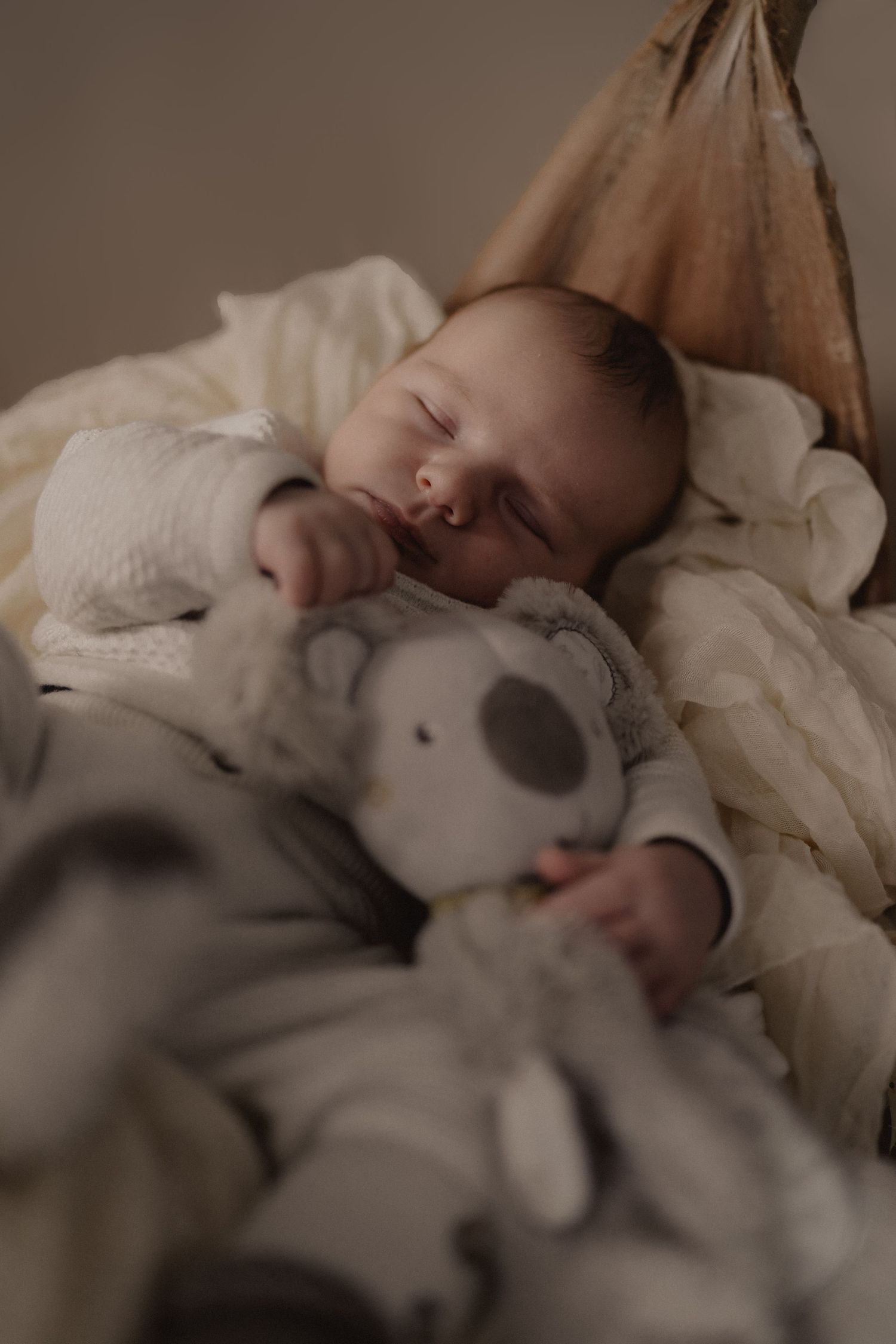 A peaceful newborn baby sleeping in a cozy basket, cuddling a soft gray stuffed animal toy.