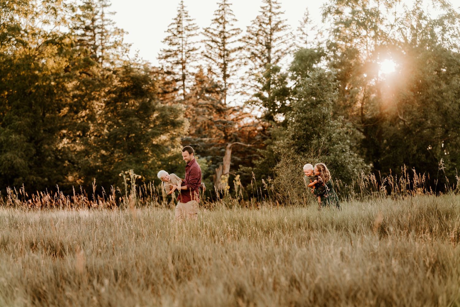Golden sunset illuminates a pine forest landscape with tall trees.