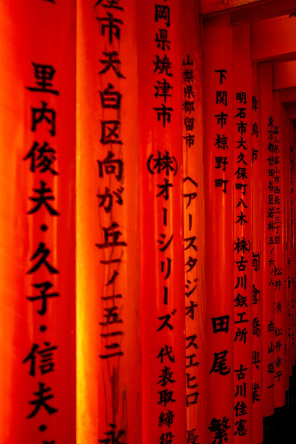 Kyoto, Japan | Travel photography by Farheen Shaikh