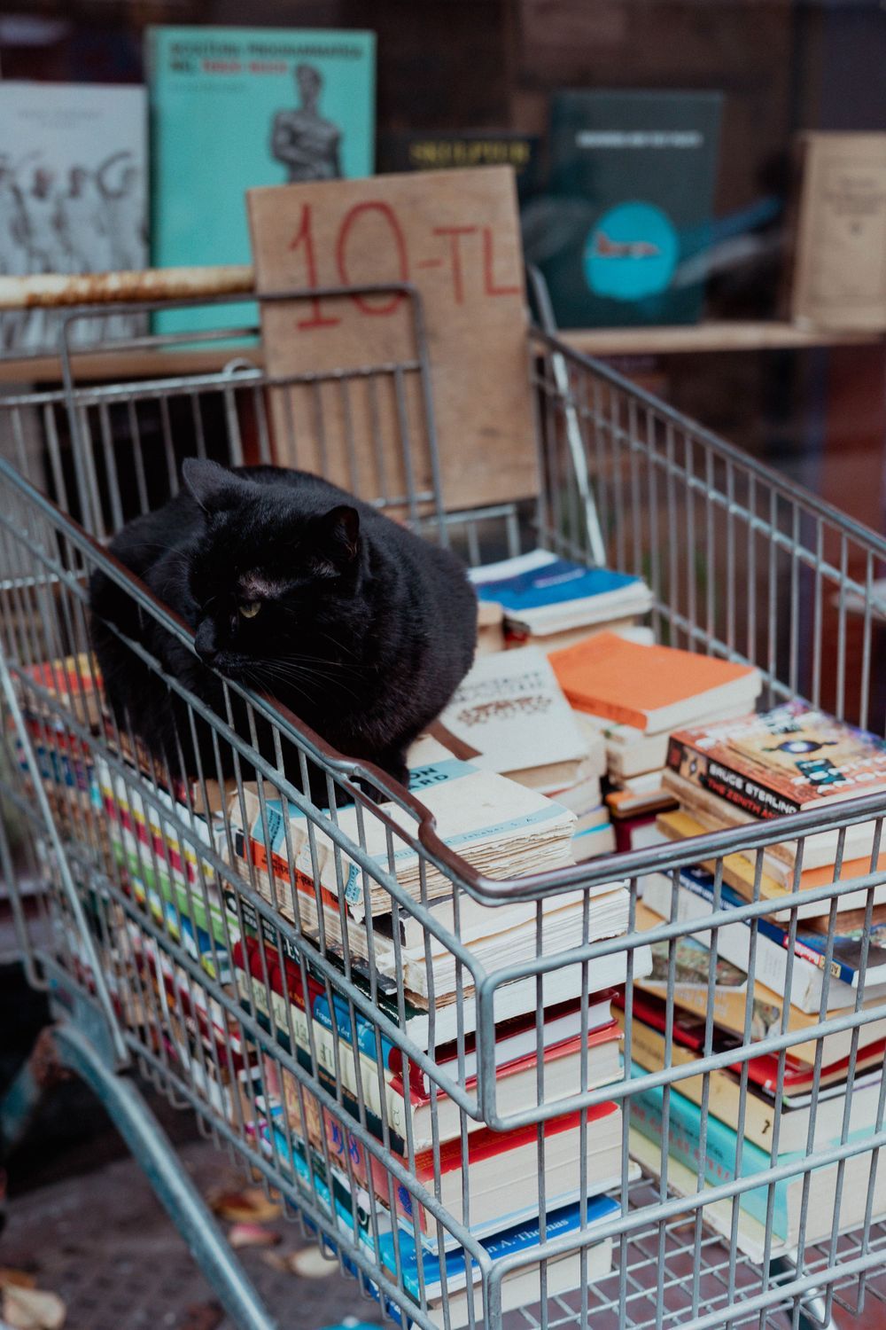 Istanbul, Turkey | Street photography by Farheen Shaikh