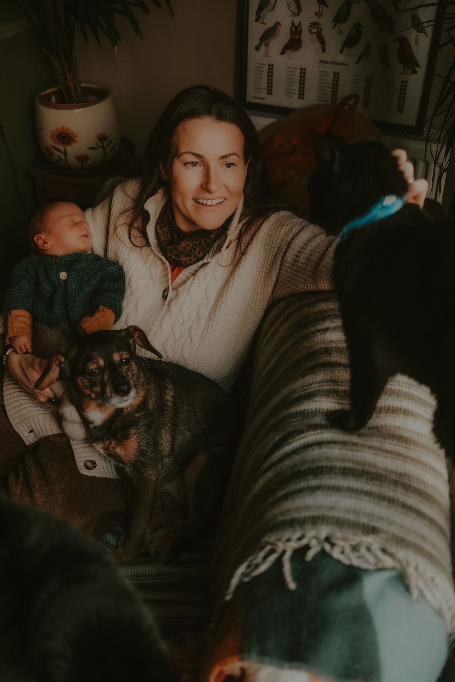 A smiling woman holding a newborn baby while sitting with two dogs on a cozy couch.
