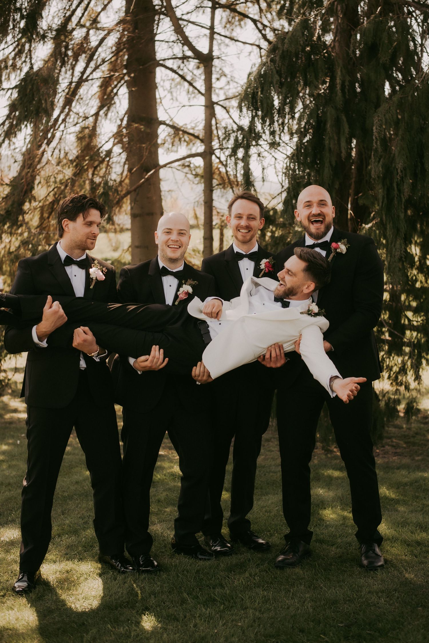 Groomsmen in black tuxedos joyfully lifting the groom outdoors near evergreen trees at a wedding.