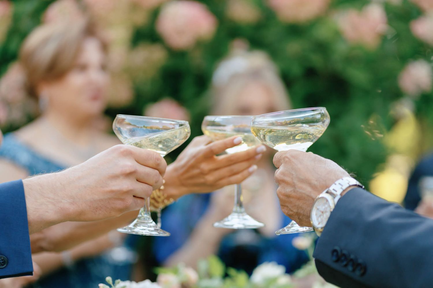 Guests clinking champagne coupe glasses in a celebratory toast at Kurtz Orchards in Niagara-on-the-Lake wedding reception.