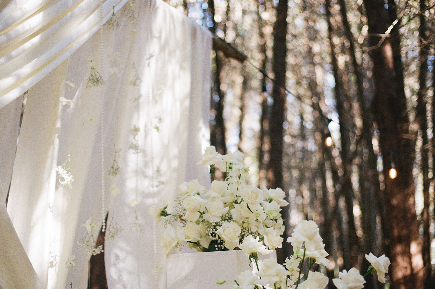 White floral arch with flowing drapery among tall trees at Razi Estate in Schomberg for forest wedding photography.
