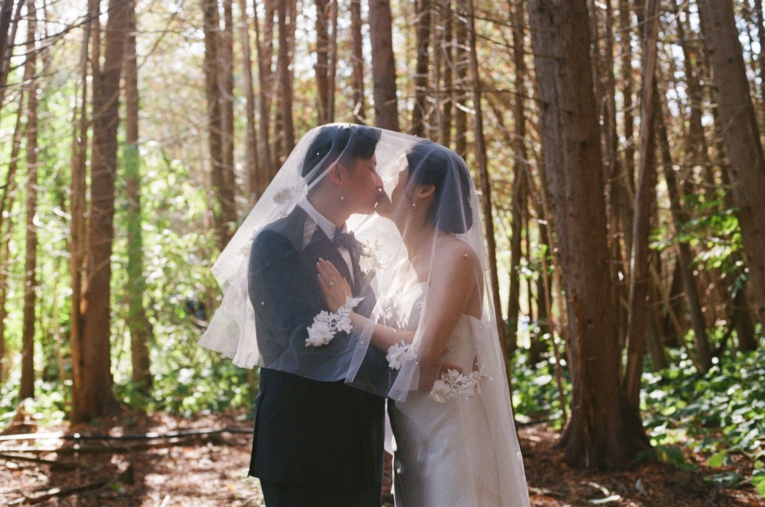 Bride and groom sharing a kiss under a wedding veil in a sunlit forest setting.